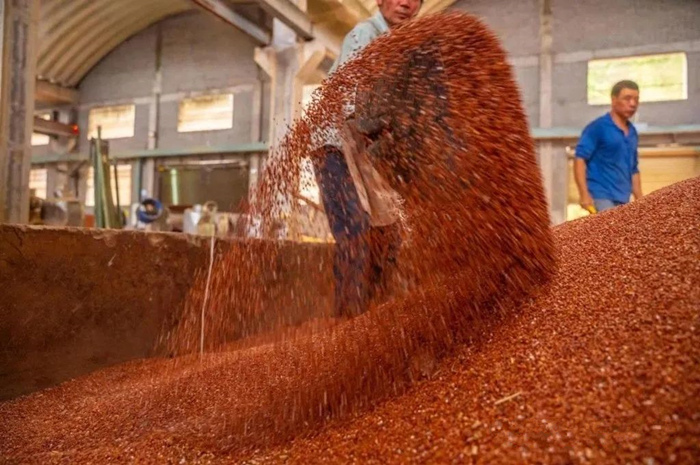 微信圖片_20221201143934_副本.jpg 微信圖片_20221201143934_副本.jpg